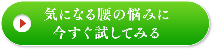 気になる腰の悩みに今すぐ試してみる