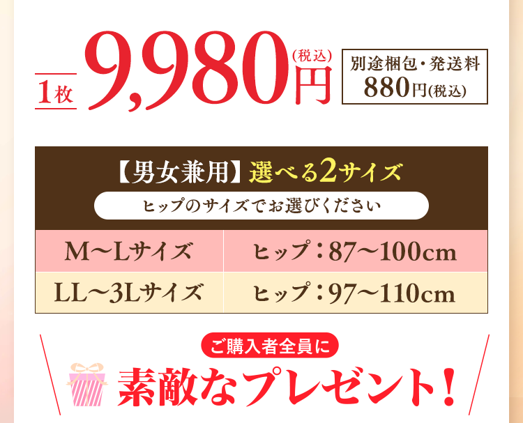体感エアーベルト 腰用