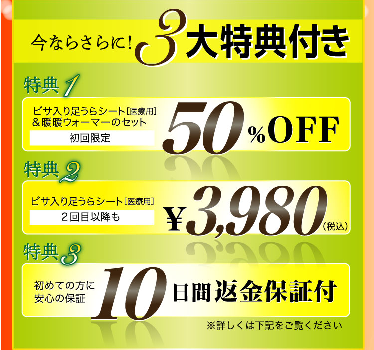ビサ入り足うらシート 医療用 レミントン公式サイト ビサ入り足うらシート 医療用 レミントン公式サイト