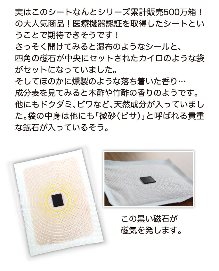 ビサ入り足うらシート 医療用｜レミントン公式サイト