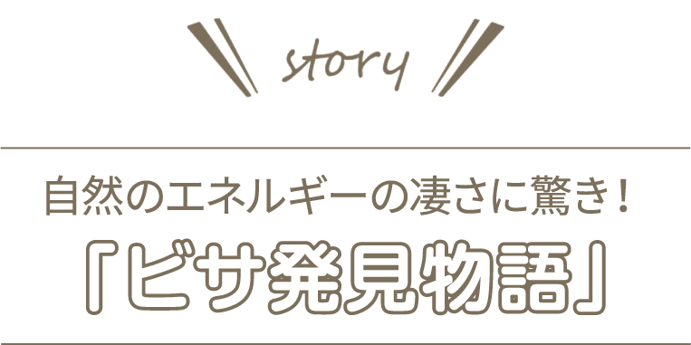 自然のエネルギーの凄さに驚き！「ビザ発見物語」