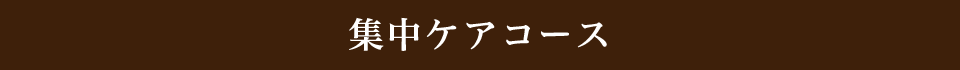 集中ケアコース