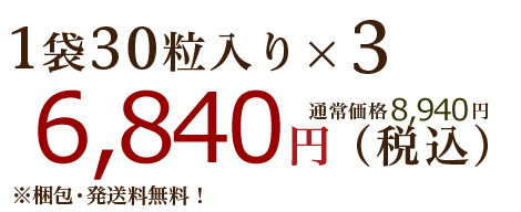 1袋30粒入りx3 6,504円(税込)