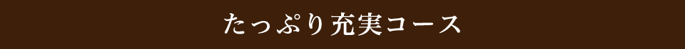 たっぷり充実コース