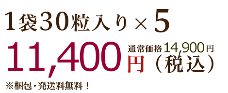 1袋30粒入りx5 8,930円(税込)