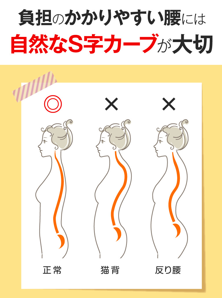 負担のかかりやすい腰には自然なS字カーブが大切