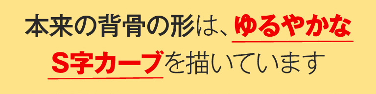 本来の背骨の形は、ゆるやかなS字カーブを描いています