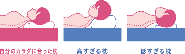 理想の枕で、理想の寝姿勢を追及！整体師も太鼓判【宮坂整体枕】