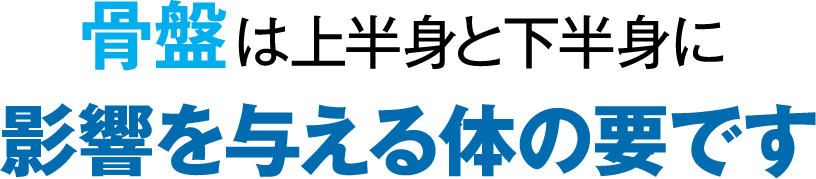 骨盤は上半身と下半身に影響を与える体の要です