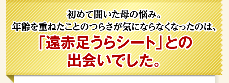遠赤足うらシート｜レミントン公式サイト