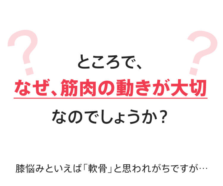 ところで、なぜ、筋肉の動きが大切なのでしょうか？膝悩みといえば「軟骨」と思われがちですが…