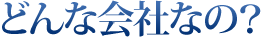 どんな会社なの？